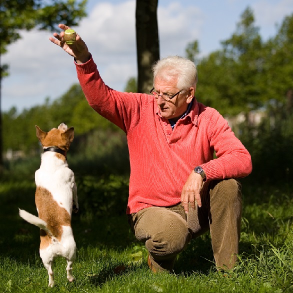 Oudere man speelt buiten samen met hond