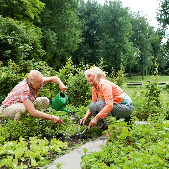 Man en vrouw tuinieren in zomertijd